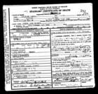 deathcertificateciceroterrell_small.jpg